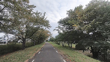 gx012295.mp4_snapshot_00.07_thumb.jpg
