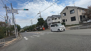 gx012302.mp4_snapshot_00.47_thumb.jpg