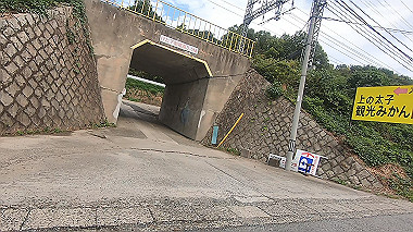gx012309.mp4_snapshot_00.07_thumb.jpg