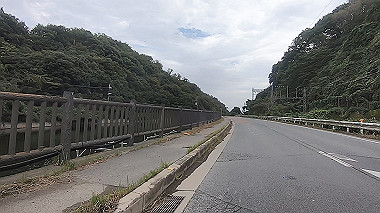 gx012311.mp4_snapshot_00.22_thumb.jpg