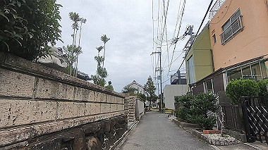 gx012333.mp4_snapshot_00.08_thumb.jpg