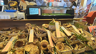 gx012337.mp4_snapshot_00.00_thumb.jpg