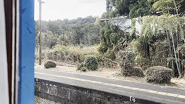 20241220_09-22-17_x264.mp4_snapshot_thumb.jpg