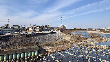 2025-01-14_11-02-12_333_thumb.jpg