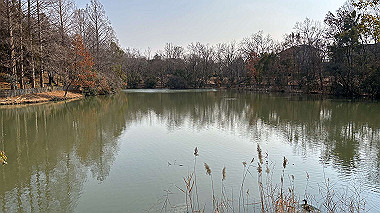 2025-01-24_13-27-20_836_thumb.jpg