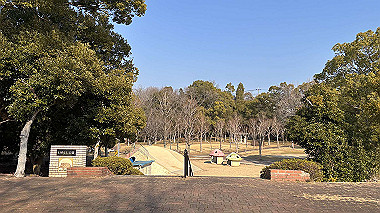 2025-01-24_13-37-50_960_thumb.jpg