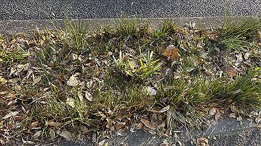 2025-01-24_15-04-14_130_thumb.jpg