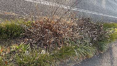 2025-01-24_15-04-56_154_thumb.jpg