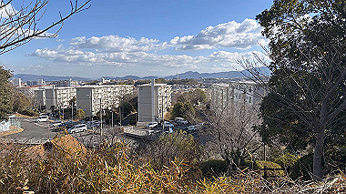 2025-01-28_09-56-08_927_thumb.jpg
