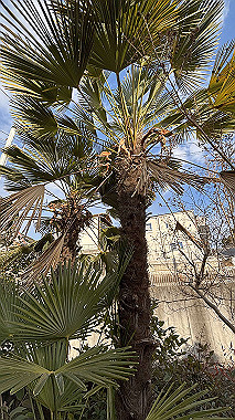 2025-01-30_15-11-40_775_thumb.jpg