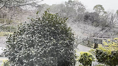 2025-02-18_16-07-37_000_x264.mp4_snapshot_00.00.190_thumb.jpg