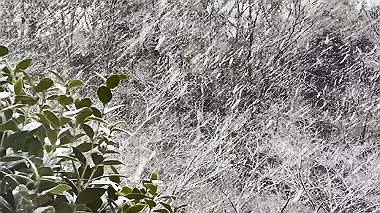 2025-02-18_16-07-37_000_x264.mp4_snapshot_00.02.358_thumb.jpg