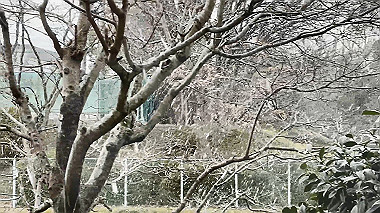 2025-02-18_16-07-37_000_x264.mp4_snapshot_00.12.297_thumb.jpg