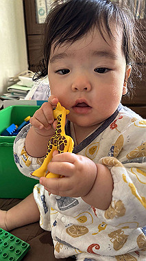 2025-02-20_08-41-50_994_thumb.jpg