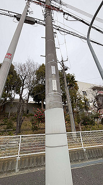 2025-02-12_11-43-23_006_thumb.jpg