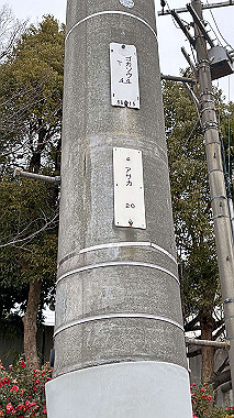 2025-02-12_11-43-26_859_thumb.jpg