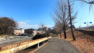 gx012392_x264.mp4_snapshot_00.00.924_thumb.jpg