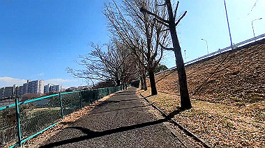 gx012392_x264.mp4_snapshot_00.23.489_thumb.jpg