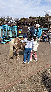 2025-03-02_11-42-29_256_thumb.jpg