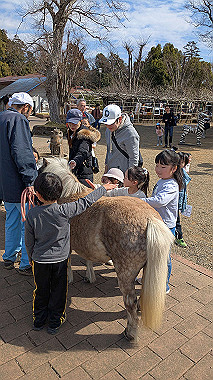 2025-03-02_11-42-38_676_thumb.jpg