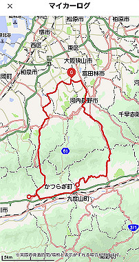 20250319-379-2025-03-19_15-37-24_000_thumb.jpg