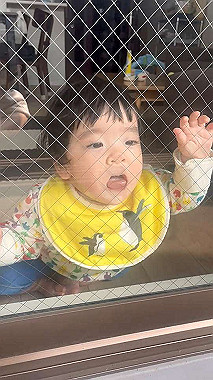 20250327-558-2025-03-27_09-10-47_000_x264_mp4_snapshot_0000_thumb.jpg