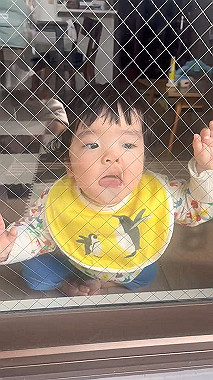 20250327-559-2025-03-27_09-10-47_000_x264_mp4_snapshot_0002_thumb.jpg