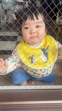 20250327-560-2025-03-27_09-10-47_000_x264_mp4_snapshot_0010_thumb.jpg