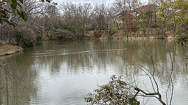 2025-03-29_09-02-24_457_thumb.jpg
