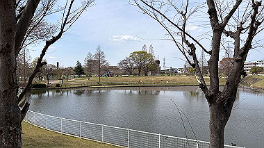2025-03-29_10-48-08_679_thumb.jpg
