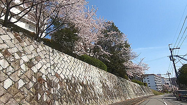 gx012422.mp4_snapshot_00.20_thumb.jpg