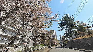 gx012422.mp4_snapshot_00.45_thumb.jpg