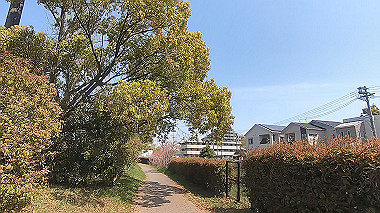 gx012422.mp4_snapshot_03.21_thumb.jpg