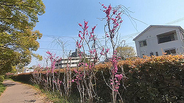 gx012423.mp4_snapshot_00.00_thumb.jpg
