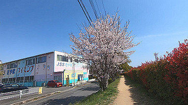 gx012423.mp4_snapshot_00.46_thumb.jpg