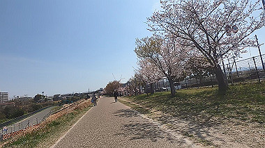 gx012427.mp4_snapshot_00.26_thumb.jpg