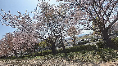 gx012427.mp4_snapshot_00.45_thumb.jpg