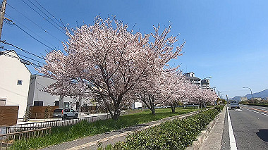 gx012434.mp4_snapshot_00.22_thumb.jpg