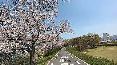 gx012435.mp4_snapshot_00.19_thumb.jpg