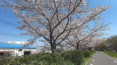 gx012435.mp4_snapshot_00.27_thumb.jpg
