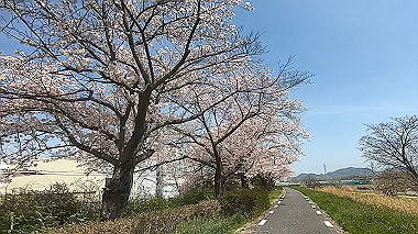 gx012436.mp4_snapshot_00.07_thumb.jpg