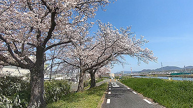 gx012436.mp4_snapshot_00.30_thumb.jpg