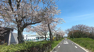 gx012437.mp4_snapshot_00.38_thumb.jpg