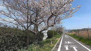 gx012443.mp4_snapshot_00.13_thumb.jpg
