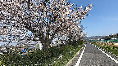 gx012443.mp4_snapshot_00.39_thumb.jpg