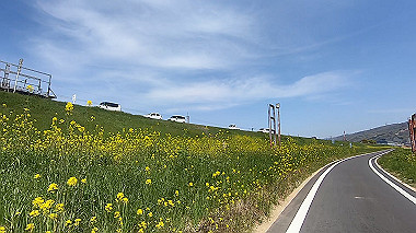 gx012446.mp4_snapshot_00.21_thumb.jpg
