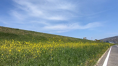 gx012447.mp4_snapshot_00.07_thumb.jpg