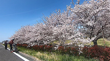 gx012454.mp4_snapshot_00.47_thumb.jpg