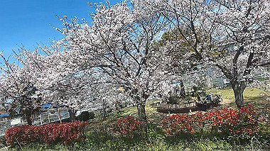 gx012454.mp4_snapshot_00.52_thumb.jpg