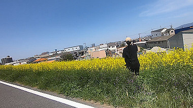 gx012459.mp4_snapshot_00.08_thumb.jpg